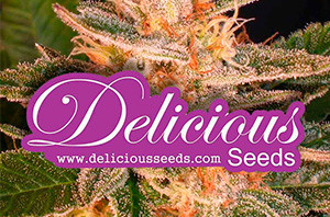 Delicious Seeds