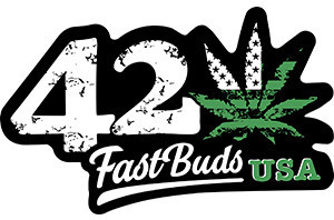 FustBuds сидбанк